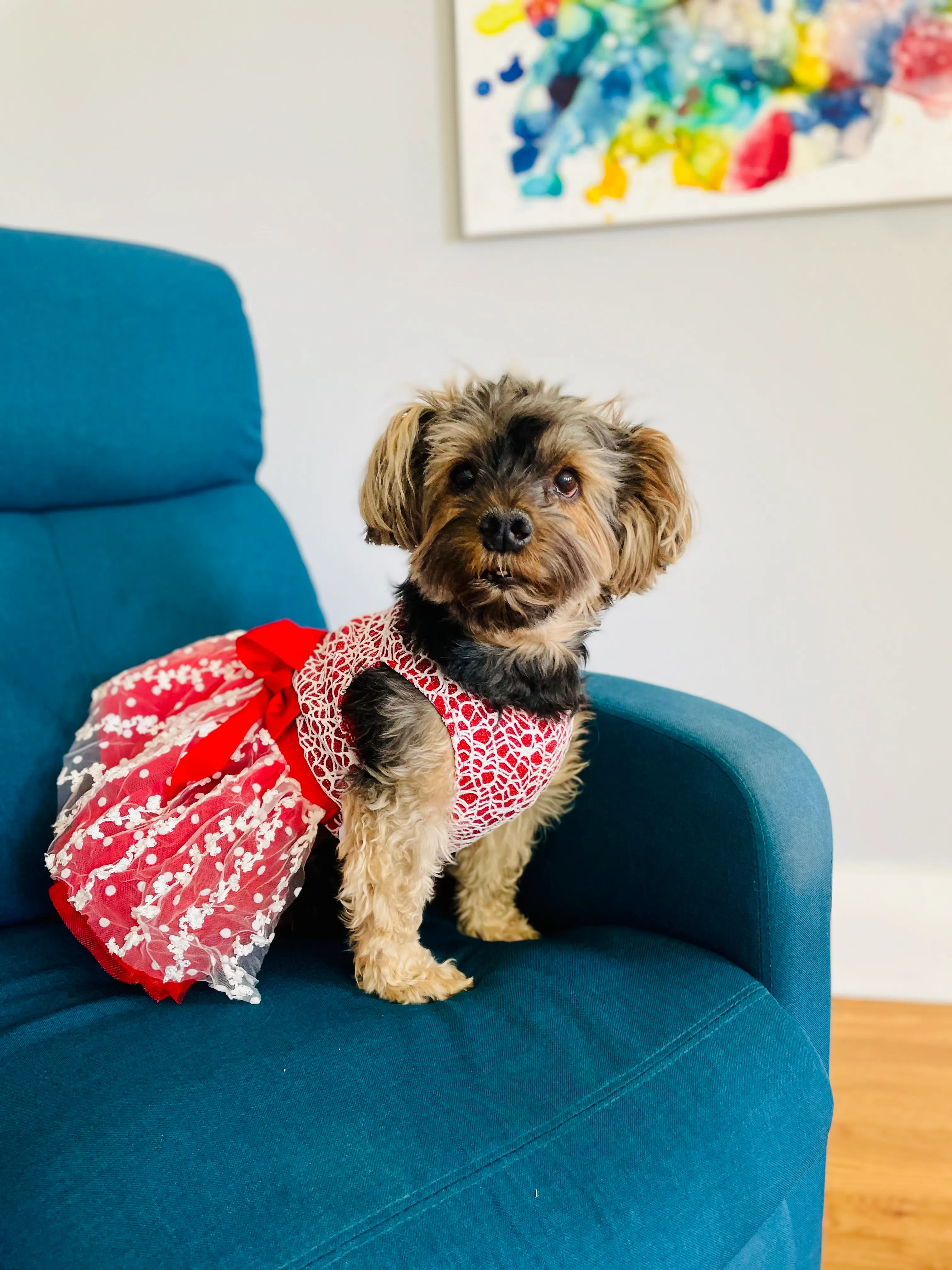 Pearl standing on a teal armchair in a red dress with a white floral print, beneath an abstract painting with bright splashes of color.